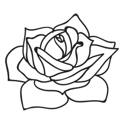 Icono de trazo de rosa floreciente Diseño PNG