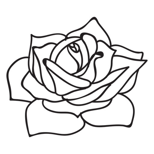 Download Flowering rose stroke icon - Transparent PNG & SVG vector file