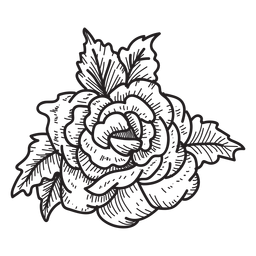 Flor de ícone de esboço de cabeça de rosa florescendo Desenho PNG