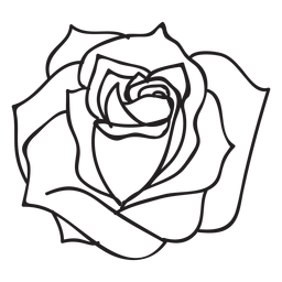 Flor de ícone de traço de rosa florescendo Desenho PNG