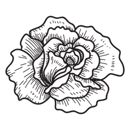 Ícone de esboço de cabeça de rosa Desenho PNG