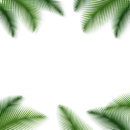 Fondo floral de hojas de palma Diseño PNG