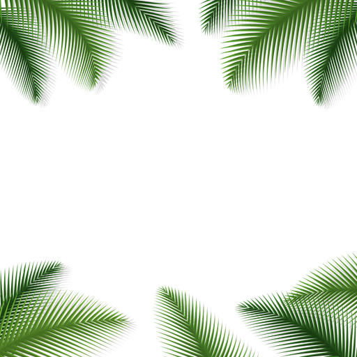 Palm leaves floral background - Transparent PNG & SVG vector file