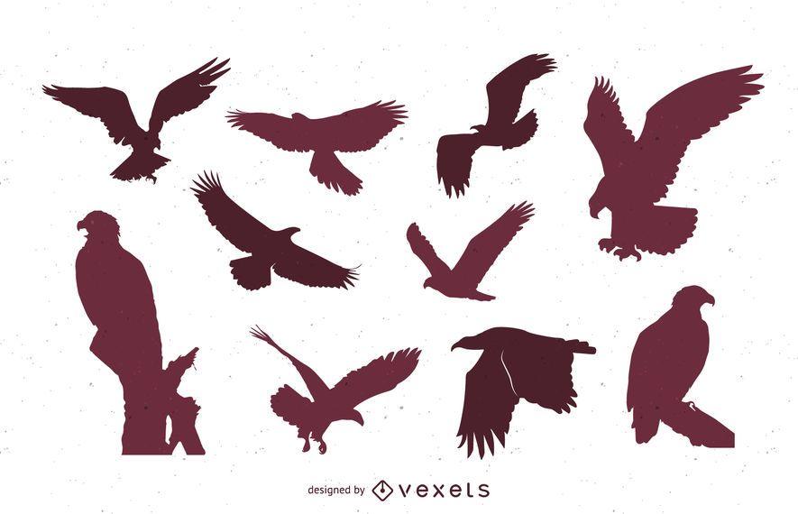 Set of eagle silhouettes Set of eagle silhouettes