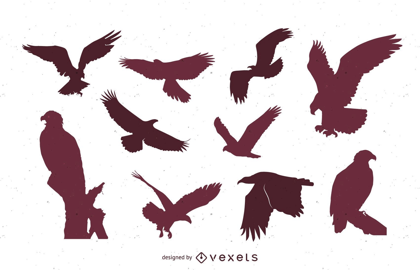 Set of eagle silhouettes