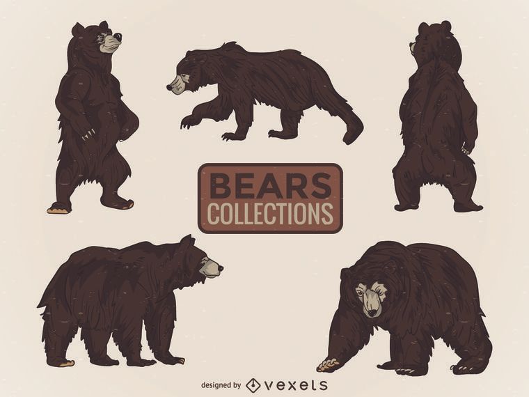 Colección ilustrada de osos salvajes. Colección ilustrada de osos salvajes.