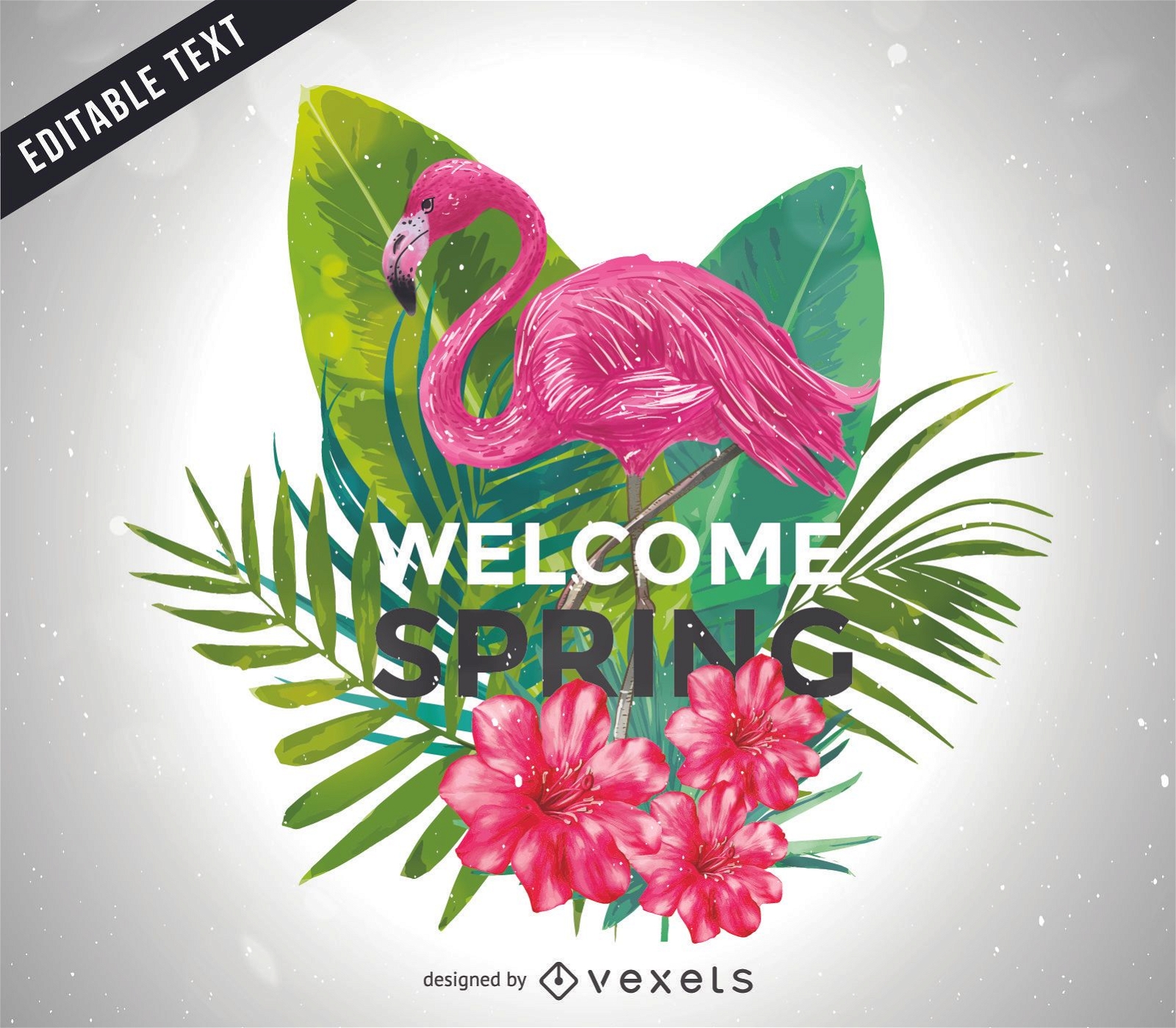 Welcome Spring illustration with flamingo