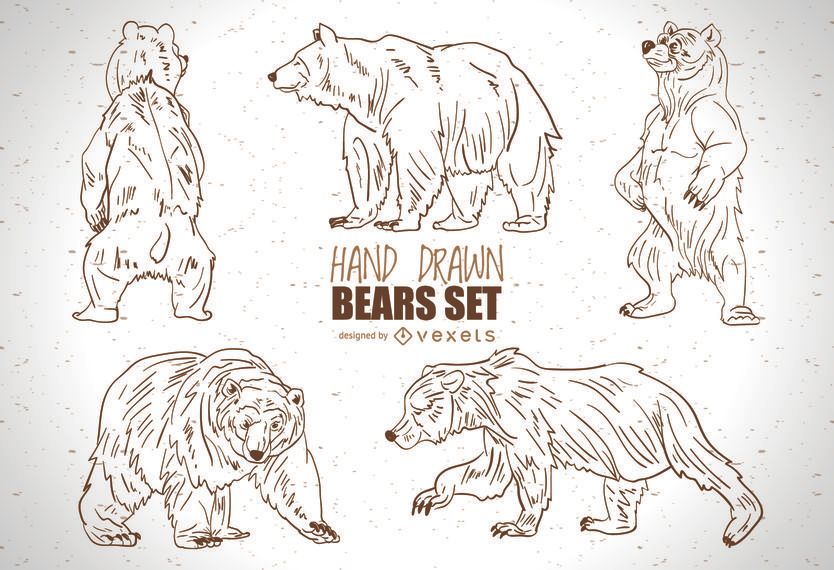 Hand drawn bears set Hand drawn bears set