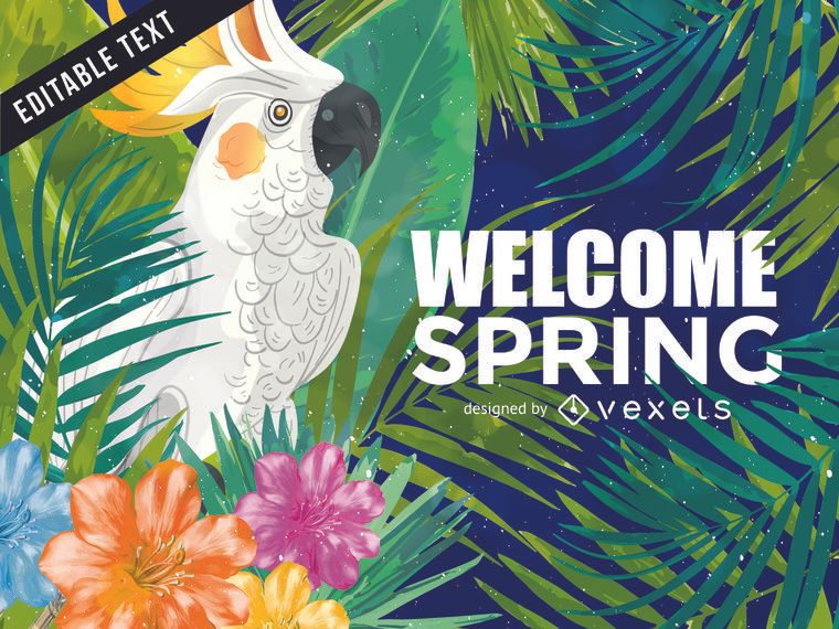 Tropical spring cockatoo illustration background Tropical spring cockatoo illustration background