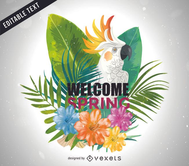 Welcome spring bright cockatoo illustration Welcome spring bright cockatoo illustration