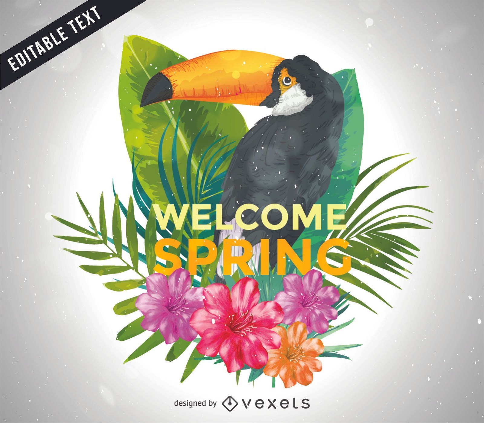 Illustrated spring toucan poster