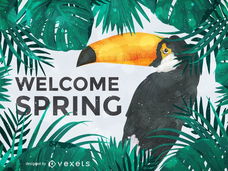 Toucan ilustración bienvenida a la primavera Toucan ilustración bienvenida a la primavera