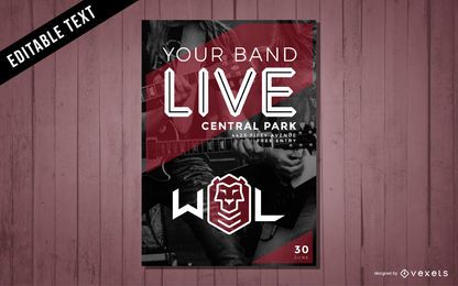 Diseño de carteles de conciertos de música.