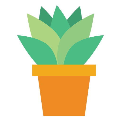 Maceta con cactus clipart Diseño PNG