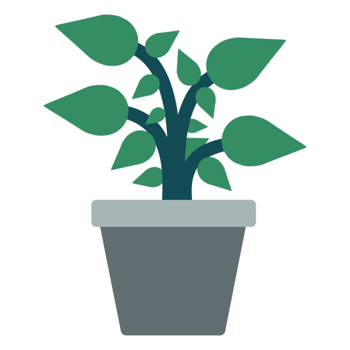Flowerpot with plant clipart PNG Design