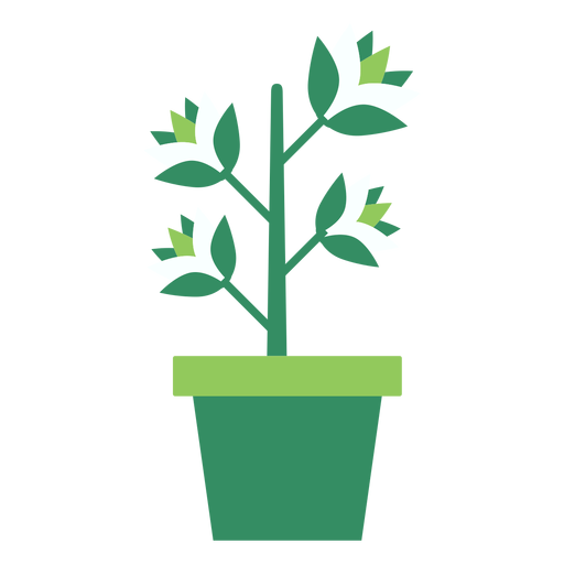 Planta Vectorial Con Maceta Png Planta Maceta Verde Png Y Vector