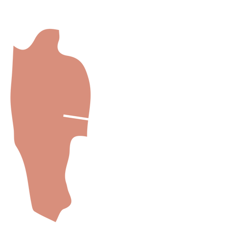 Mizoram-Staatskarte PNG-Design
