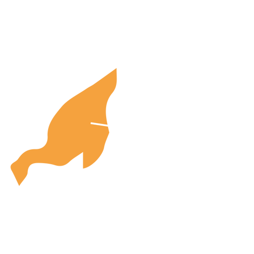 Mapa del estado de Nagaland Diseño PNG