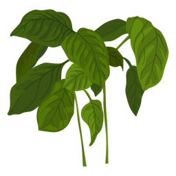 Green basil herb illustration PNG Design
