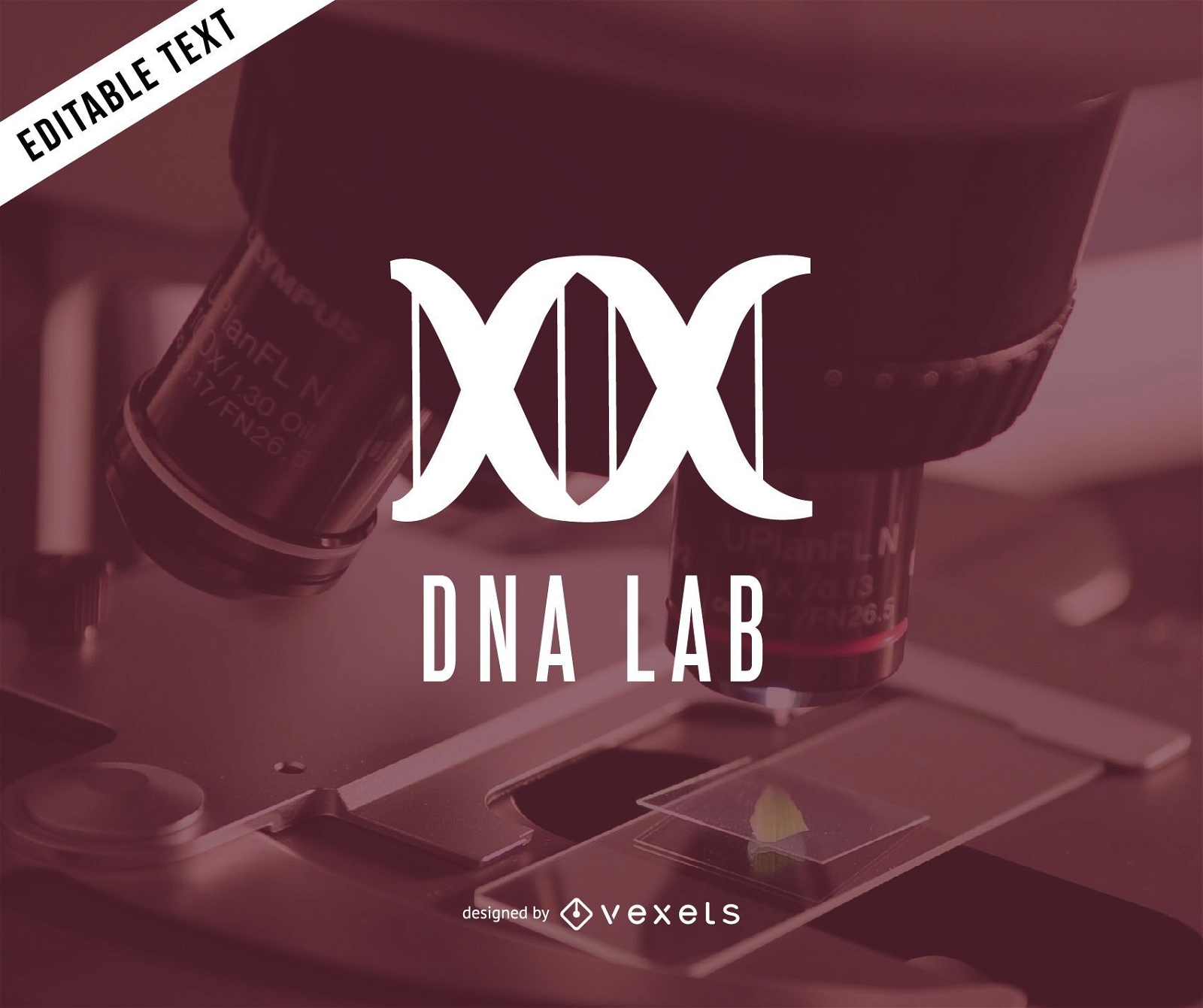 Modelo de design de logotipo do DNA Lab