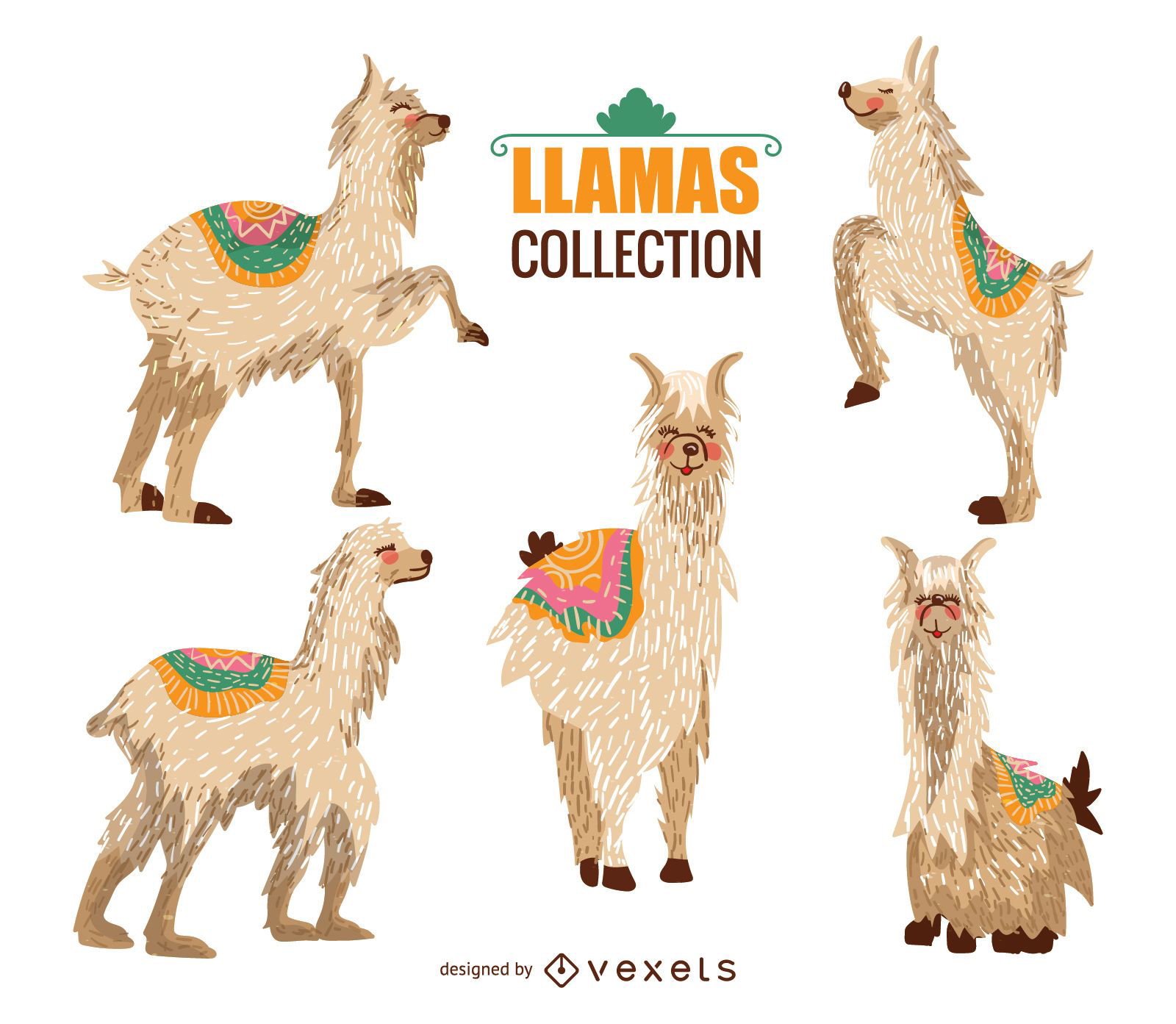 Colección de ilustración de llama - Descargar vector