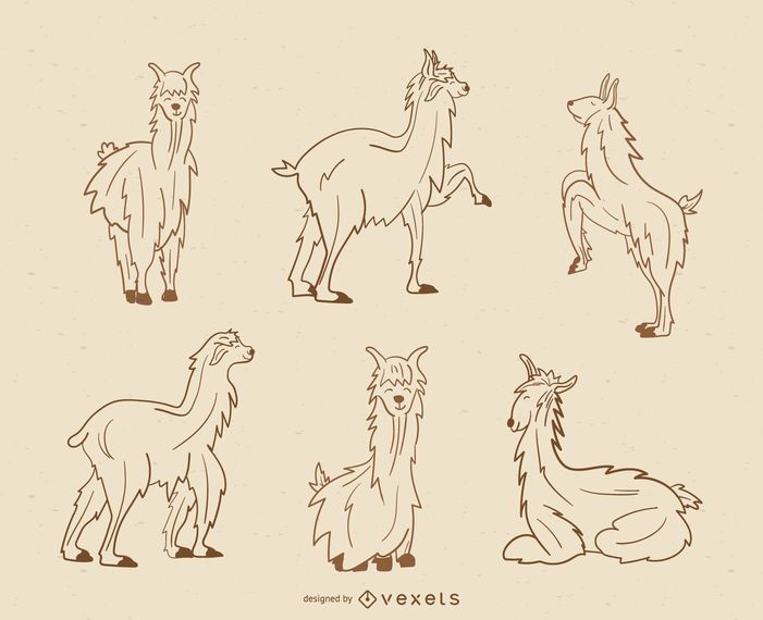 Llama stroke illustration collection Llama stroke illustration collection