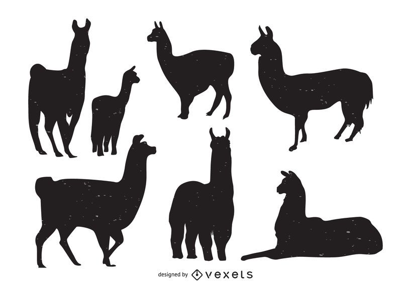 Colección de siluetas de animales de llama. Colección de siluetas de animales de llama.