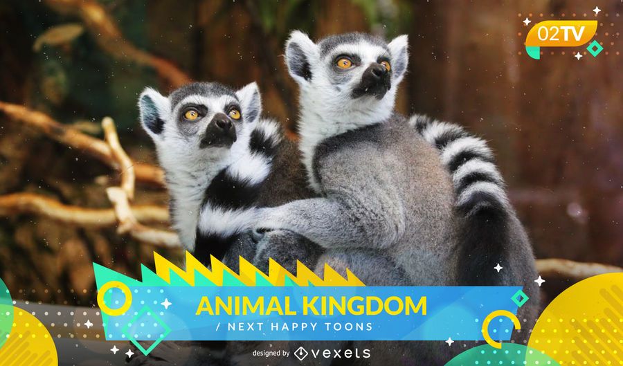 Programa de televisión animal show siguiente Programa de televisión animal show siguiente