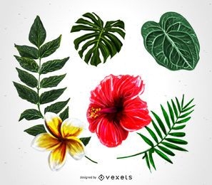 Conjunto de ilustração de plantas tropicais