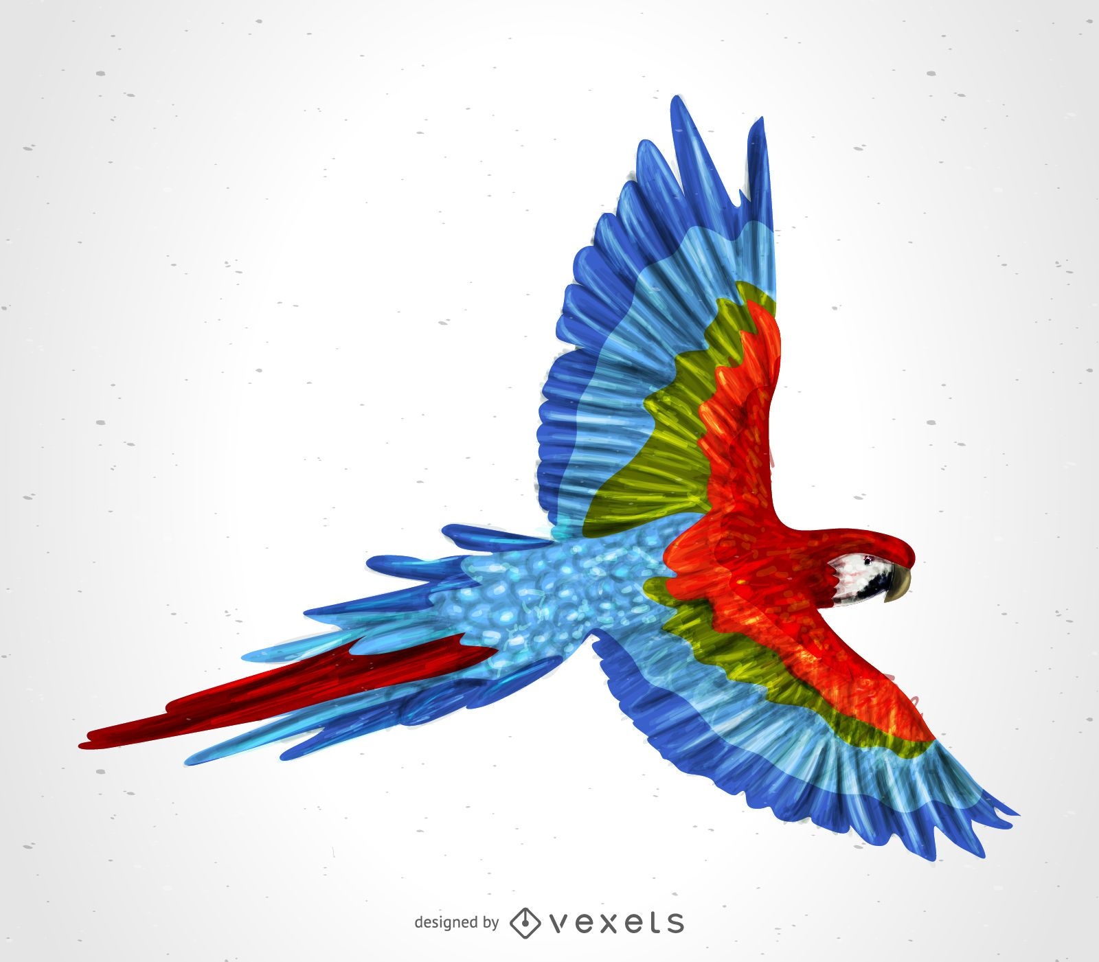 Beautiful macaw parrot illustration