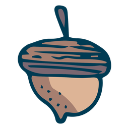 Acorn oak nut cartoon Acorn oak nut cartoon