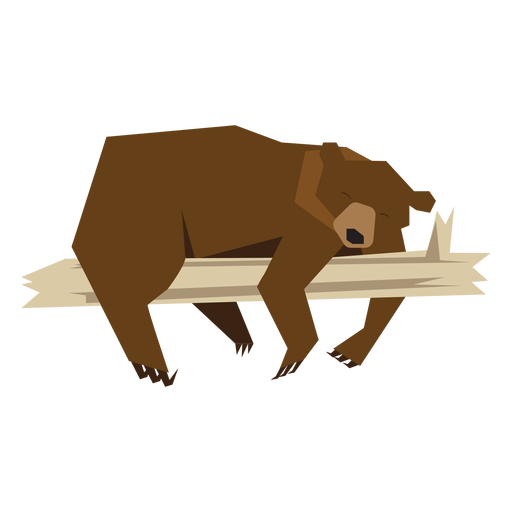 Bear lying on branch illustration PNG Design
