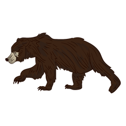 Dibujos animados caminando oso pardo Diseño PNG