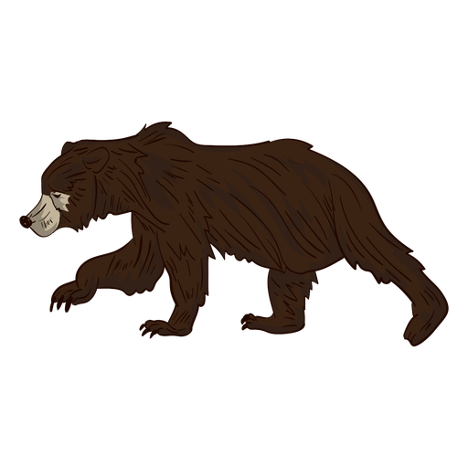 Brown bear walking cartoon PNG Design