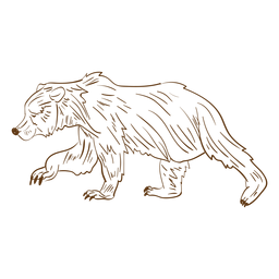 Brown bear walking stroke cartoon PNG Design