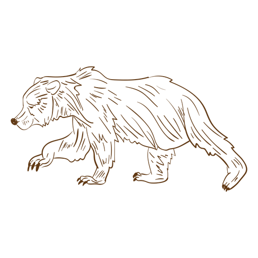 Dibujos animados de trazo de oso pardo caminando Diseño PNG