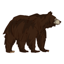 Brown grizzly bear cartoon