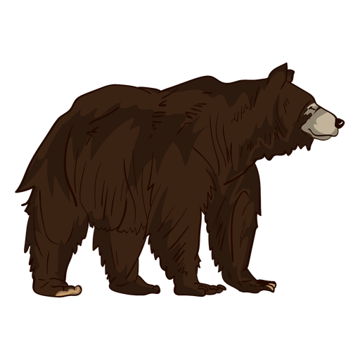 Brown grizzly bear cartoon PNG Design