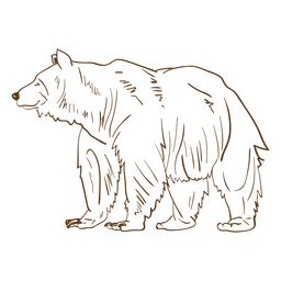 Brown Grizzlybär Schlaganfall Cartoon PNG-Design