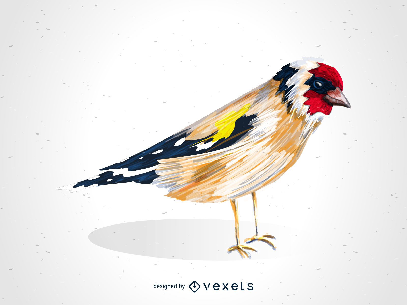 Desenho de pássaro pintassilgo europeu