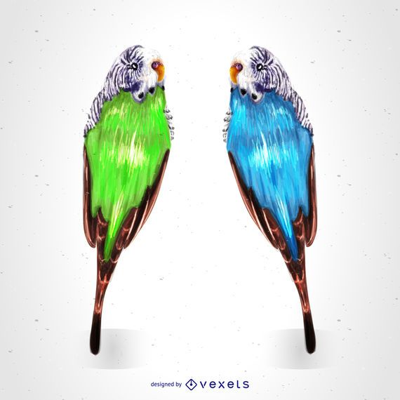 Dibujo de loros tropicales Dibujo de loros tropicales