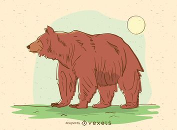 Bear animal cartoon illustration