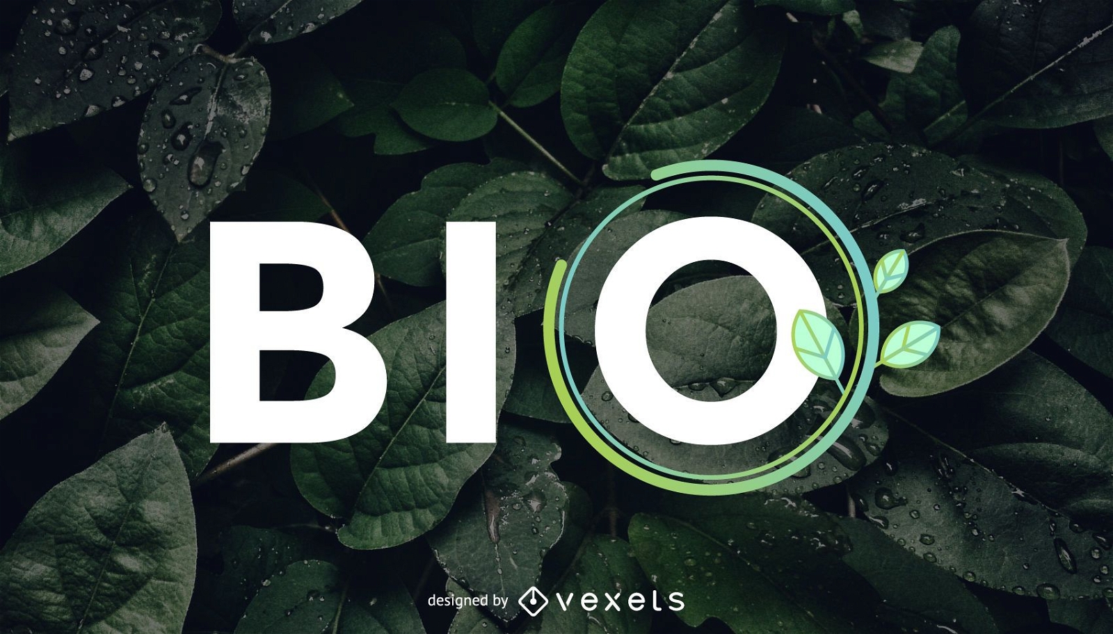 Bio gesundes Logo-Design