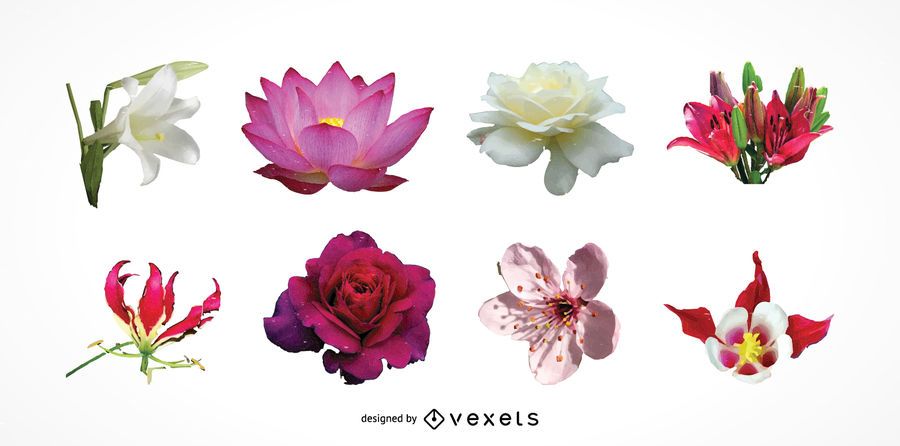 Exotic flowers heads set Exotic flowers heads set