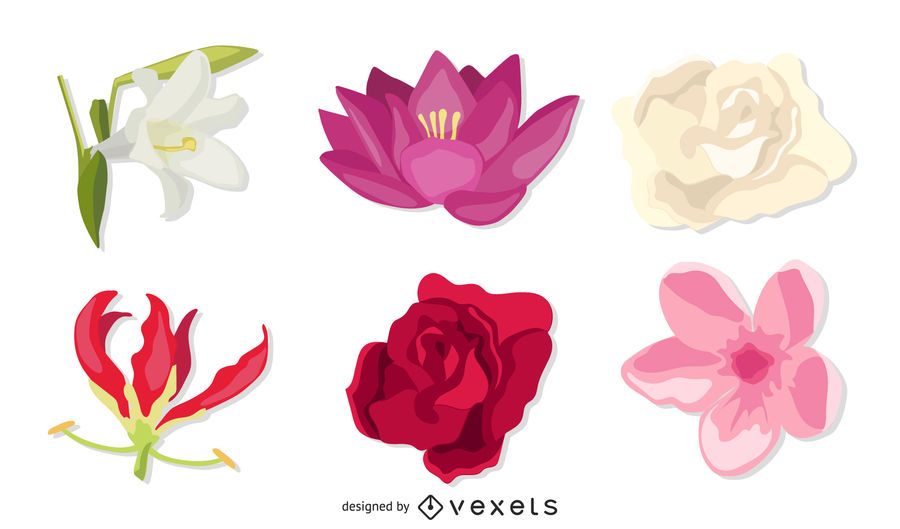 Conjunto de cabeças de flores exóticas Conjunto de cabeças de flores exóticas