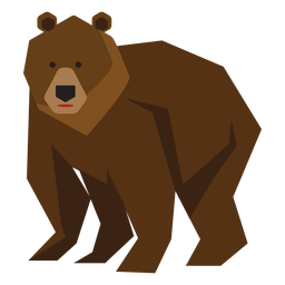 Ilustración de oso pardo anciano Diseño PNG