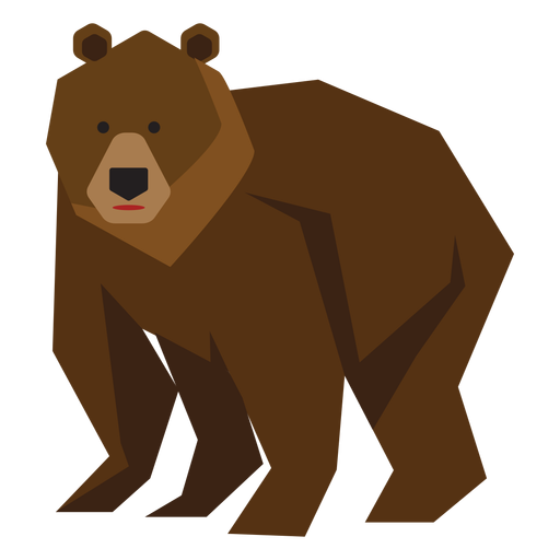 Elder brown bear illustration
