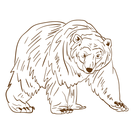 Elder brown bear stroke cartoon PNG Design