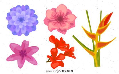 Conjunto de ilustração de lindas cabeças de flor realista Conjunto de ilustração de lindas cabeças de flor realista