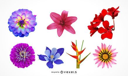 Conjunto de ilustração de lindas cabeças de flor realista Conjunto de ilustração de lindas cabeças de flor realista